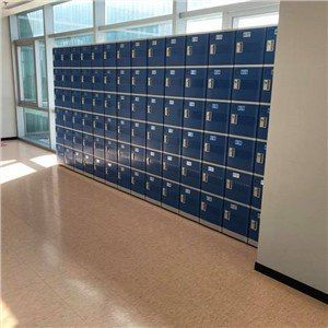 Cell Phone Storage Lockers